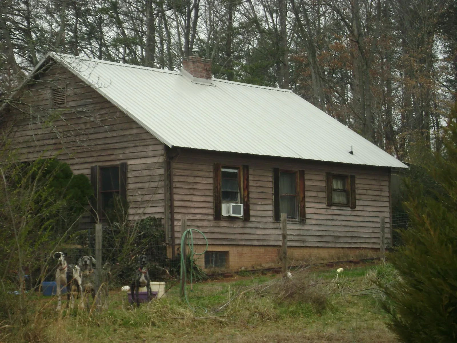White metal roof on an old wood sided farmhouse, from a Metal Roof Installation job in Ionia
